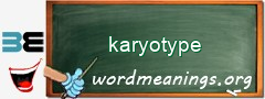 WordMeaning blackboard for karyotype